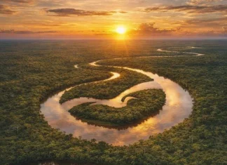 FIEAM lança 33ª edição do Prêmio Qualidade Amazonas e reforça compromisso com a excelência organizacional