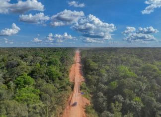 Infraestrutura para a Amazônia real: logística, integração e o lugar estratégico da BR-319