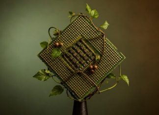 Amazônia, chips e soberania tecnológica