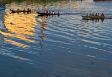 Amazonas: a hora de somar esforços