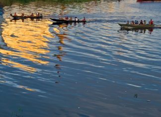 Amazonas: a hora de somar esforços